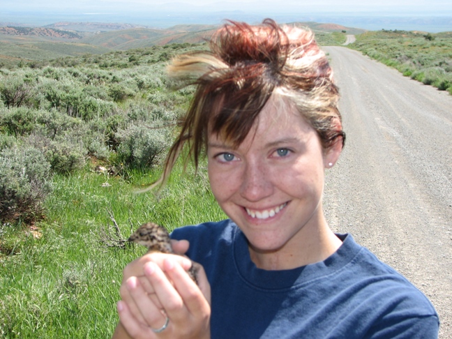 Jessica with a sage grouse chick at Deseret Ranch, Summer, 2005.